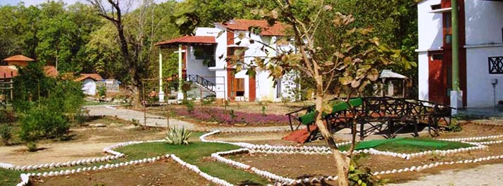 2456/Kanha Meadows Retreat - Kanha 03.jpg